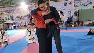 Hapkido master training selfdefense kicks fight punch moving techniques 04 [upl. by Aryc641]