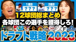 【作業用・睡眠用・聞き流し】各球団のドラフト戦略！あなたの球団に必要な選手は？12球団総まとめ [upl. by Zirkle277]