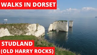 WALKS IN DORSET at STUDLAND amp OLD HARRY ROCKS THE JURASSIC COAST 4K [upl. by Kamerman]