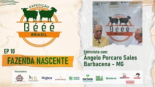 EXPEDIÇÃO BÉÉÉ BRASIL EP 10  FAZENDA NASCENTE [upl. by Pattie]