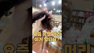 요즘 유행하는 머리 했눈뎅💇🏻‍♀️ [upl. by Shira477]