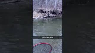 Steelhead fly Fishing Ashtabula Ohio steelhead fishing brownie [upl. by Elleniad]