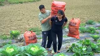 Life building diary Harvesting agricultural products preparing to cope with the rainy season [upl. by Doerrer265]