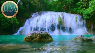 Musique Relaxante Calme  Nature Relaxation Bruit de leau pour dormir Spa Yoga massage [upl. by Laet]