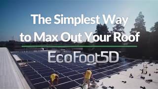 EcoFoot5D Introduction FINAL [upl. by Nidla]