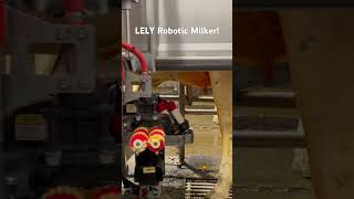 LELY Robotic Milker [upl. by Neill810]