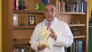 Tipos de patologías de columna vertebral [upl. by Innor]