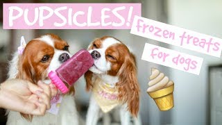 DIY POPSICLES FROZEN DOG TREATS  Easy and Healthy  Herky Eats [upl. by Adnarem]