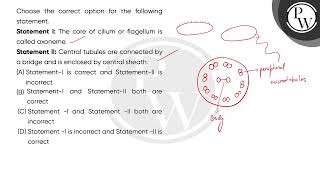 Choose the correct option for the following statement\nStatement I The core of cilium or flage [upl. by Caraviello591]