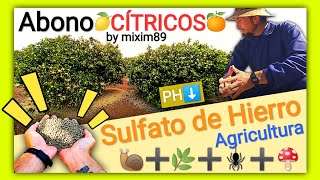 Abonado en Cítricos 5 Usos del SULFATO de HIERRO en Agricultura Naranjos y Limoneros by mixim89 [upl. by Lahey]