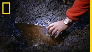 There’s Still Oil on This Beach 26 Years After the Exxon Valdez Spill Part 3  National Geographic [upl. by Ridglea]