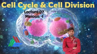 Cell Cycle and Division l Lecture 07 l Thorax100 [upl. by Lekim]