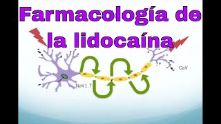 Farmacología de la lidocaína y otros anestésicos locales [upl. by Yeargain]