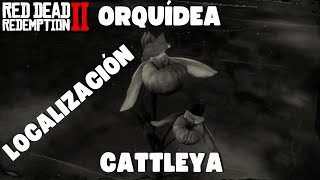 Localización de las 5 Orquídeas Cattleya de RDR2 [upl. by Eissirc]