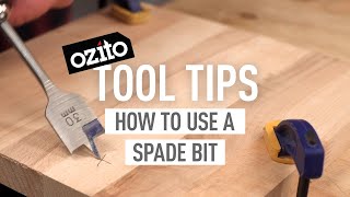 HOW TO USE A SPADE BIT  Ozito Tool Tips [upl. by Gerrie637]