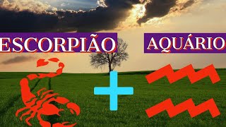 Signo de AQUÁRIO Combina com o Signo de ESCORPIÃO  Descubra Agora Aquário e Escorpião no Amor [upl. by Legin]