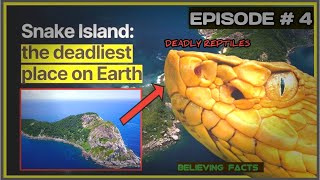 Exploring Forbidden Paradise Deadliest Snake Island Brazil🐍Documentary [upl. by Anilah475]