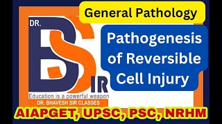 Pathogenesis of Reversible Cell Injury  General Pathology  Pathology  DrBhavesh Sir Classes [upl. by Milas]