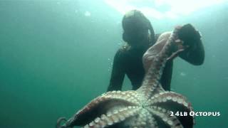 Freediving for 10 inch Abalone [upl. by Juliet750]