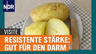 Resistente Stärke Gut für den Darm und gegen Entzündungen  Visite  NDR [upl. by Assilana311]