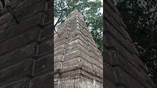 Kuleshwar mahadev mandir rajim mahadev shankar travel tranding shortvideo shorts [upl. by Jefferson]