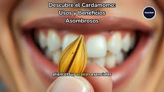 Descubre el Cardamomo Usos y Beneficios Asombrosos [upl. by Machos995]