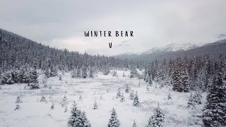 V  WINTER BEAR lyrics [upl. by Giark424]