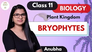 Class 11  Bryophytes Plant Kingdom  NCERT [upl. by Etnud]