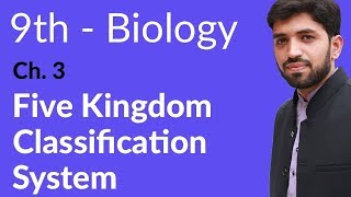 9th Class Biology  Chapter 3  Five Kingdom Classification System [upl. by Madelin]