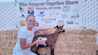 The Copper Caprine Dairy Goat Show [upl. by Rellim906]