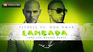 Lambada  Pitbull vs Don Omar Lonelez Remix [upl. by Akirahs74]