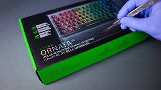 Razer Ornata V2 Keyboard Unboxing  ASMR [upl. by Orr]