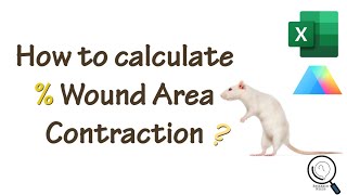 How to calculate the percentage of wound area contraction in wound healing study [upl. by Con]