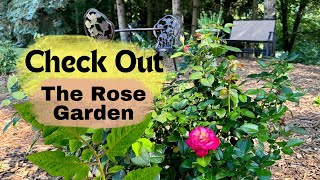 Check out the NEW and finished Rose Garden [upl. by Alhan106]