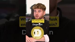 Would you invest in Dogecoin dogecoin crypto cryptocurrency cryptonews cryptotrading elonmusk [upl. by Gunner172]