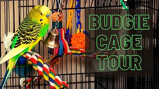 Budgie Cage Tour  Pillows New Cage [upl. by Trumann]