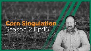 InsidePTI S2•E16  Singulation ‣ Corn [upl. by Anama]