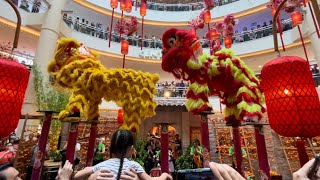 CNY 2024 Acrobatic Double Lion Dance 🦁  Khuan Loke 群樂  Mid Valley Megamall [upl. by Albur]