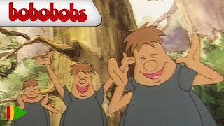 Bobobobs  18  Larbre peuplé  Épisode Complet [upl. by Roberts]