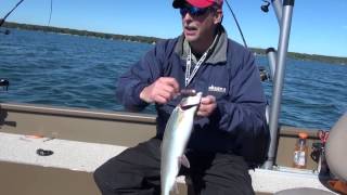 Trolling Lead Core for Mullet Lake Rainbow Trout [upl. by Marek]