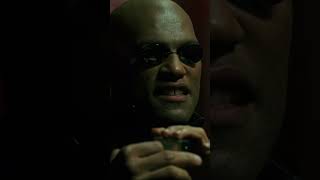 Morpheus Warns Neo About the Matrix Sequels [upl. by Norted915]