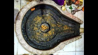 Trimbakeshwar Live Darshan livestream trimbakeshwar [upl. by Einohtna405]