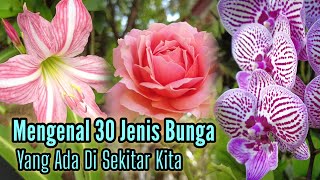 30 Jenis Bunga Beserta Nama dan Keterangannya [upl. by Akenom373]