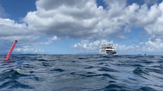 Koh Lipe Thailand Scuba Diving 4K [upl. by Encrata]