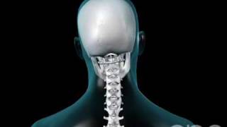 Neck Movement  3D Medical Animation  ABP © [upl. by Gunn]