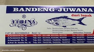 Ikan Bandeng Presto Juwana Semarang [upl. by Eusoj376]