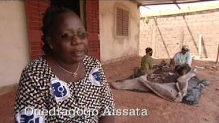 Adapting to climate change in the Sahel [upl. by Elleunamme]