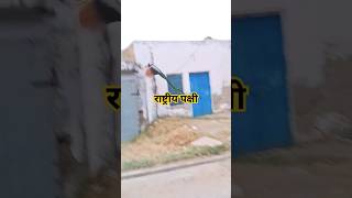 4 जून 2024birds fact2chop pets funny cat animals fact2fact mirzafact factvideo the [upl. by Ais]