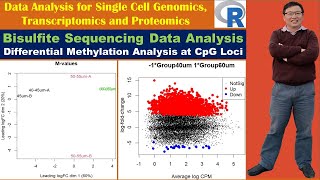 Bisulfite Sequencing Data Analysis Differential Methylation Analysis at CpG Loci [upl. by Verbenia]