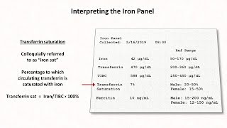 Anemia Lesson 2  Interpreting the Iron Panel [upl. by Suoinuj]